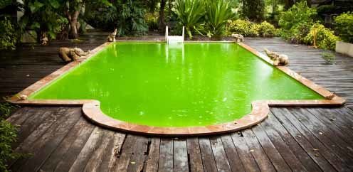 How to clean a green pool